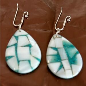 Elegant Teardrop Earrings with Silver Hooks